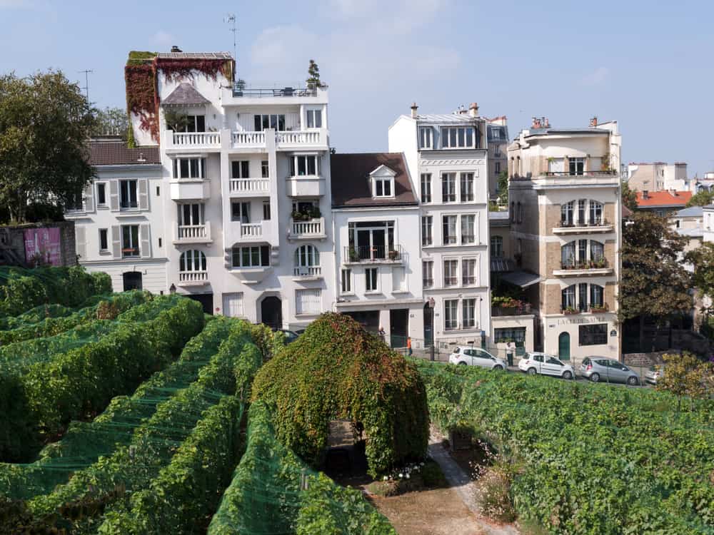 Montmartre Museum and Renoir's Garden Paris