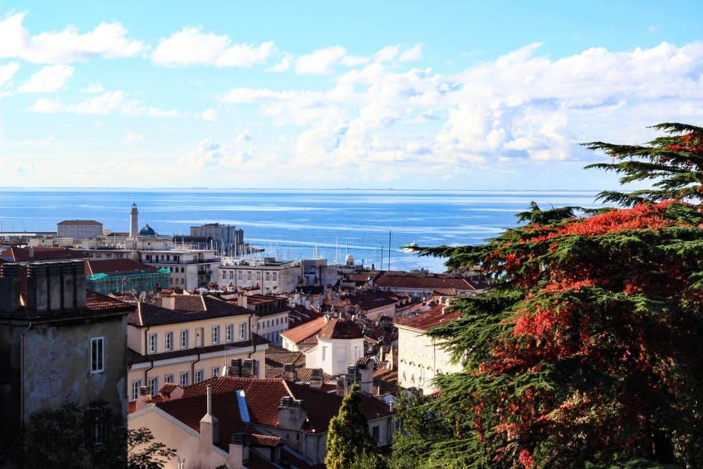 View of Trieste, Italy from top of a hill, overlooking red rooftops with the sea in the distance.
